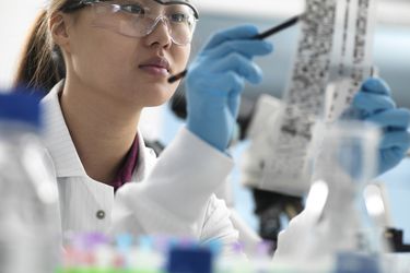 科学家在实验室库存照片中查看DNA放射自显影图的基因测试结果